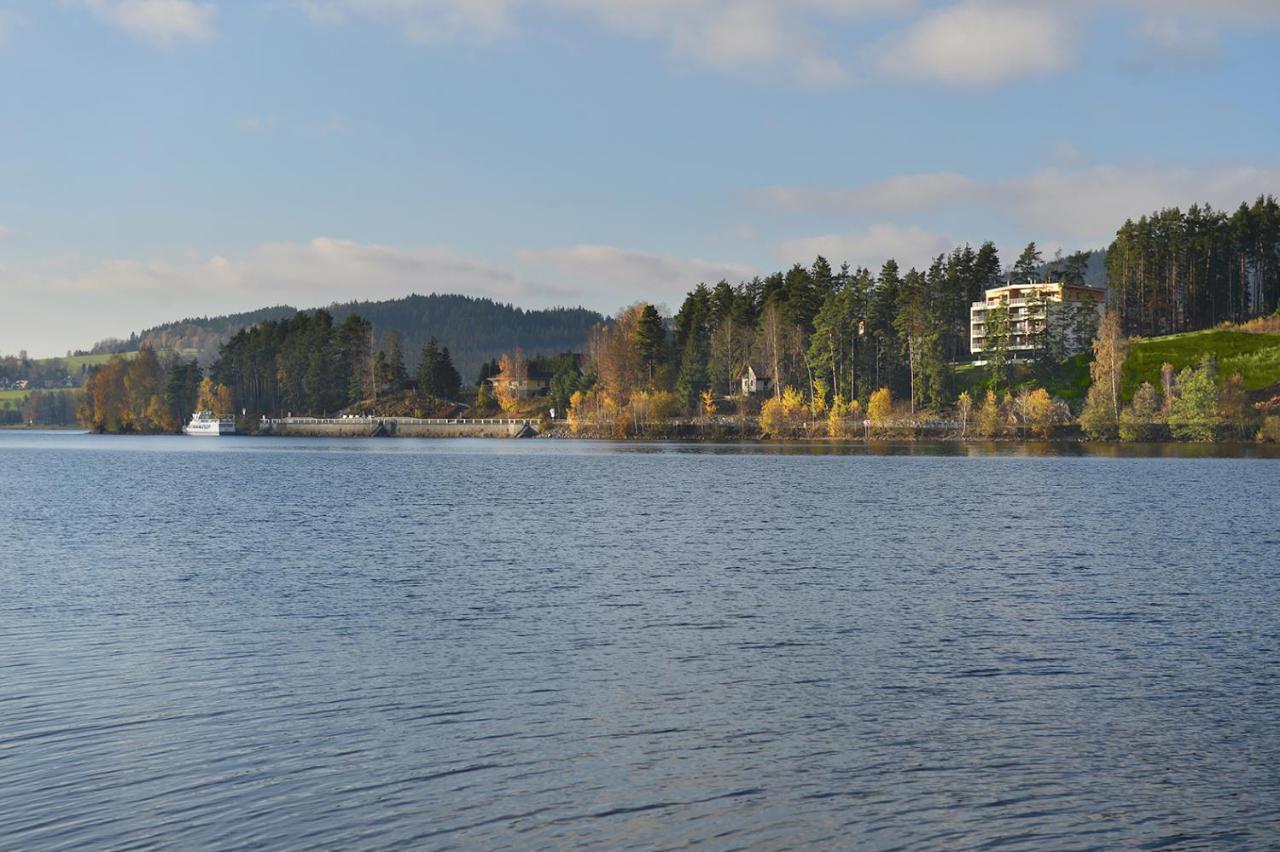 Element Lakeside Apartments Lipno nad Vltavou Luaran gambar