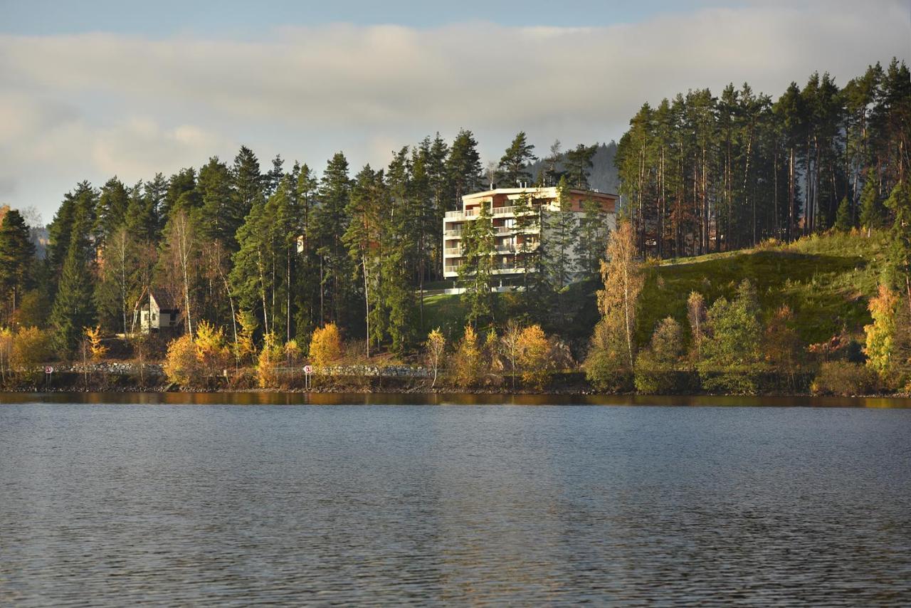 Element Lakeside Apartments Lipno nad Vltavou Luaran gambar